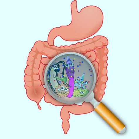 A duo of scientists at the University of Oxford, UK, has proposed an evolutionary framework to understand why our gut microbiota affects the brain and behavior. Creatinine Levels, Oxford Uk, Natural Colon Cleanse, Gut Microbiota, Irritable Bowel, Egg Diet, Gut Bacteria, Creating A Newsletter, Gut Microbiome