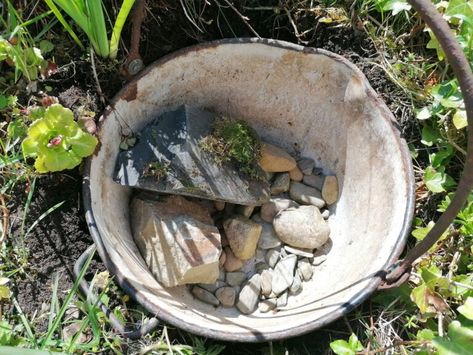 Tiny Pond Diy, Bucket Fish Pond, How To Build A Small Fish Pond, Tiny Pond, Diy Wildlife Pond, Mini Wildlife Pond, Pond Dipping, Outdoor Ponds, Healthy Water