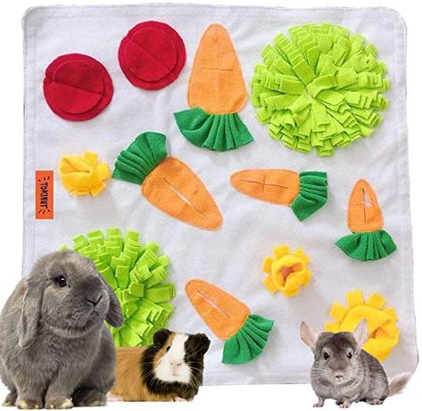 Bunny Items, Pet Craft, Canine Enrichment, Guinea Pig (toy), Rabbit Stuff, Bunny Room, Pet Bunny Rabbits, Rabbit Crafts, Snuffle Mat