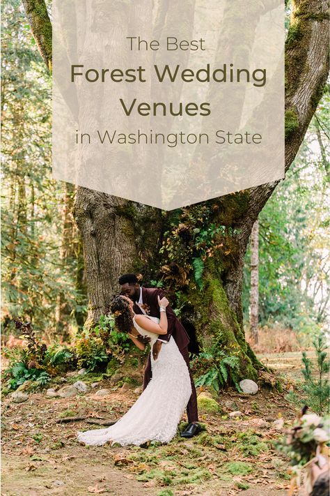 Washington State has many beautiful wedding venues in the woods. Check out our roundup of the top forest wedding venues. They all showcase lush, dreamy, fairytale, outdoor forest vibes. Photograph by Marla Manes Photography Washington Forest Wedding, Pnw Wedding Venues, Washington Outdoor Wedding, Washington Wedding, Pnw Wedding, Washington Forest Wedding Venues, Wedding In Washington State, Forest Weddings Washington, Washington Wedding Venues Outdoor