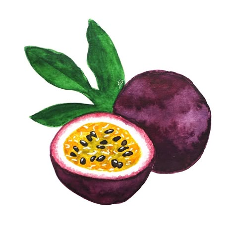 Passion Fruit Illustration, Fruit Art Drawings, Veggie Art, Watercolor Pencil Art, Art Journal Prompts, Fruits Drawing, Food Artwork, Watercolor Fruit, Food Painting