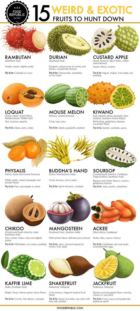 Keto Fruits, Resep Koktail, Fruit Socks, Weird Fruit, High Fiber Fruits, Laneige Lip, Food Charts, Food Info, Think Food