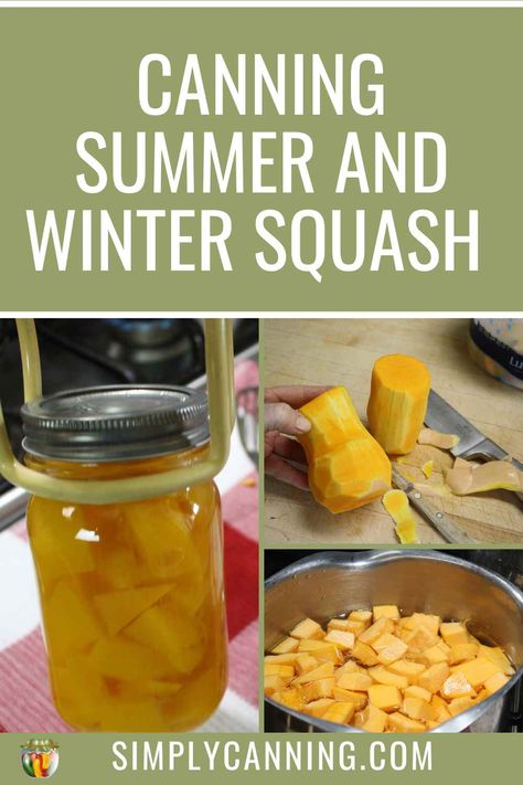 Learn how to make the most of your squash harvest by canning it for later use. This guide will teach you everything you need to know to get started. What squash can be canned and why. Recipes for canning plain and pickled. Can Squash, Canning Summer Squash, Water Bath Canning Squash Recipes, Pressure Canning Summer Squash, Preserve Summer Squash, Yellow Squash Preservation, Canning Squash, Cushaw Squash, Canning Zucchini