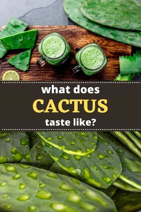 Edible Cactus Plants, Cactus Leaf Recipe, Cactus Leaves Recipe, Cactus Recipe Mexican, Cooked Cactus, Prickly Pear Cactus Recipes, Cooking Cactus, Cactus Recipes, Edible Cactus