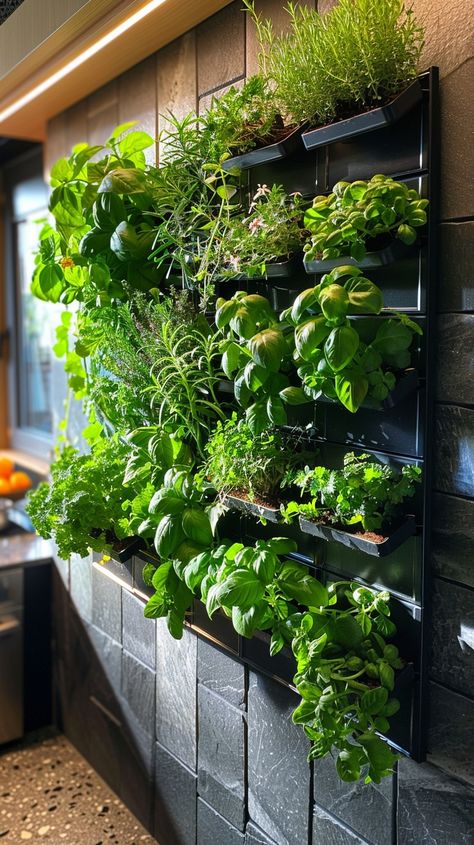 Indoor Vertical Garden: A lush #indoorverticalgarden flourishes with vibrant #greenthumb on a modern dark wall. #homegarden #interiordesign #livinggreen #verticalfarming #plantlovers #aiart #aiphoto #stockcake ⬇️ Download and 📝 Prompt 👉 https://stockcake.com/i/indoor-vertical-garden_370761_436288. Living Wall Cafe, Wall Of Plants, Vertical Wall Garden, Vertical Garden Pots, Edible Flower Garden, Living Green Wall, Brick Backdrops, Vertical Garden Indoor, Vertical Herb Garden