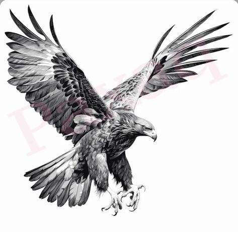 Animal Digital Illustration, Flying Eagle Tattoo, Coffee Mug Vector, Eagle Tattoo Design, Eagle Head Tattoo, Eagle Clipart, Eagle Svg, Hawk Tattoo, Animal Sleeve Tattoo