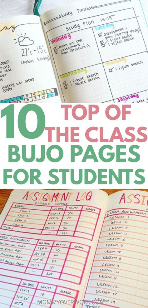 A quick lesson on keeping a BULLET JOURNAL FOR SCHOOL. Example spreads and logs for your bujo planner including a study and grades tracker, class schedule timetable and semester overview calendar, essay plan, exam / assignments log, and lecture note taking for inspiration. Whether you’re a parent tracking your kids’ schedule, or you’re in high school or college / university, these layout ideas can help guide your organization for school #bujocommunity #bujoinspiration #bujolove #bujojunkies Plan Exam, Organization For School, School Organization Highschool, Semester Overview, Schedule Timetable, School Organization College, Grail Diary, Bujo Pages, Study Tracker