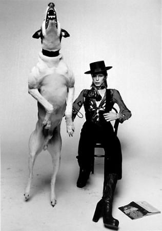 David Bowie Diamond Dogs, Brian Duffy, Terry O Neill, Jacqueline Bisset, Photo Star, Anthony Kiedis, Diamond Dogs, Faye Dunaway, Musica Rock