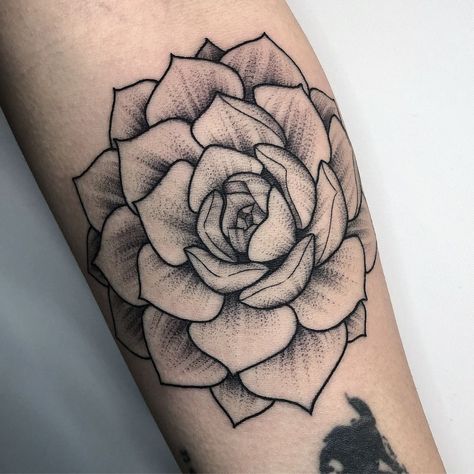 Black And Grey Succulent Tattoo, Black Succulent Tattoo, Fine Line Succulent Tattoo, Small Succulent Tattoo, Succulents Tattoo, Succulent Tattoos, Neotrad Tattoos, Plant Sleeve, Succulent Tattoo