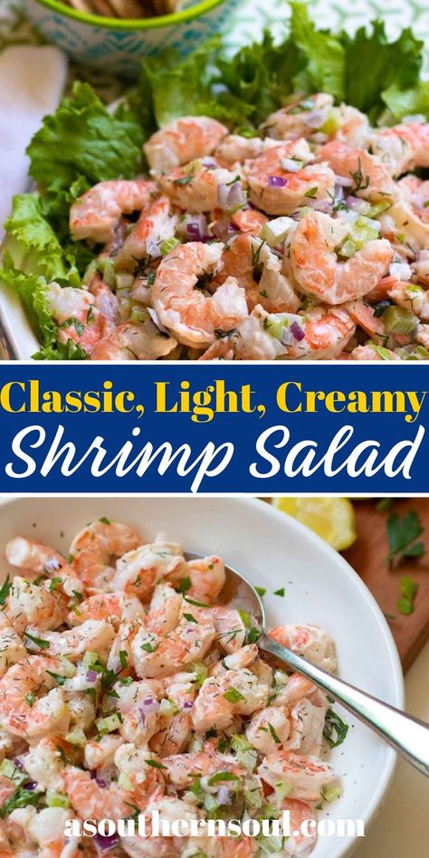 Shrimp Salad is light, cool, and loaded with freshness. This classic recipe is updated with a creamy, lemony dressing to bring out the best flavors of tender juicy shrimp, celery, and red onion. Add in fresh herbs and you’ve got a salad masterpiece! Poached Shrimp Salad, Lettuce Shrimp Salad, Ww Shrimp Salad Recipes, Shrimp Scampi Salad, Shrimp Salad Recipes Healthy Lettuce, Best Shrimp Salad Recipe, Shrimp Salad Recipes Lettuce, Shrimp Salad Recipes Easy, Shrimp Salad Dressing