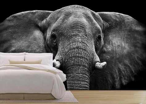 Amazon.com: wall26 - Elephant - Removable Wall Mural | Self-adhesive Large Wallpaper - 100x144 inches: Home & Kitchen Tapestry Black And White, Elephant Tapestry, Living Room Dorm, Bohemian Tapestry, Landscape Scenery, African Elephant, Hippie Bohemian, Elephant, Wall Hanging