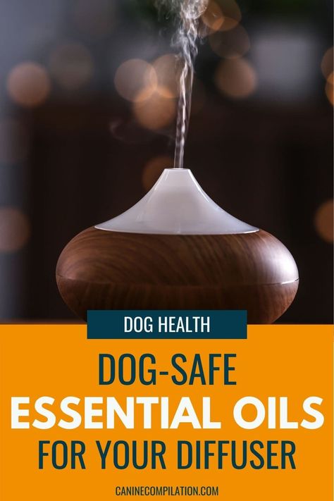 Are you using essential oils that are bad for your dog in your oil burner? Check the list of dog-safe essential oils for your diffuser. Essential Oils That Are Bad For Dogs, Dog Safe Essential Oil Diffuser Blends, Pet Safe Essential Oils To Diffuse, Essential Oils Safe For Dogs, Dog Safe Essential Oils, Essential Oils For Dogs, Essential Oils For Fleas, Healthy Practices, Essential Oils Dogs