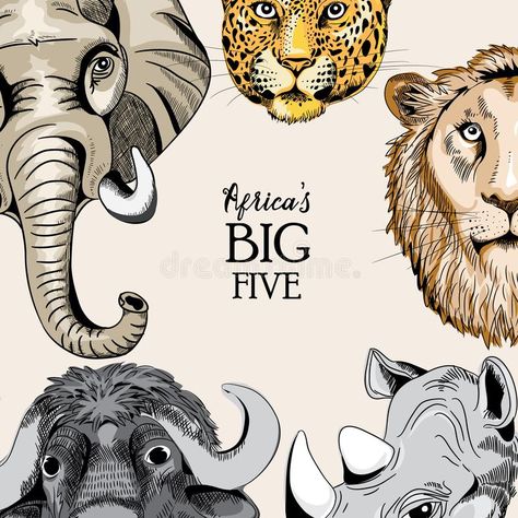 Collection Of Animals From Africa`s Big Five. Vector Illustration On Light Light Brown Background Stock Vector - Illustration of african, congo: 99879082 Big Five Animals, Light Brown Background, Drawn Animals, The Big Five, Lion Illustration, Diy Print, Big 5, Brown Background, Printed Pages