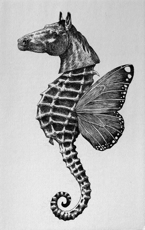 Metamorphosis Art, Exquisite Corpse, Istoria Artei, Arte Grunge, Sea Horse, Arte Sketchbook, Flash Art, A Sea, A Drawing