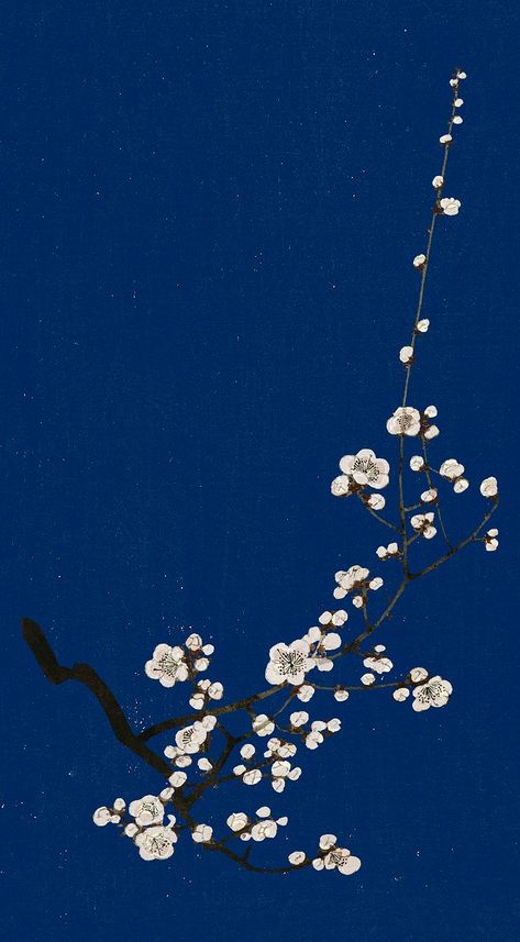 Traditional Japanese plum blossom mobile wallpaper, artwork remix from original print by Watanabe Seitei | premium image by rawpixel.com / Tong Japan Art Wallpaper, Element Artwork, Japanese Plum Blossom, Blossom Illustration, Wallpaper Artwork, Japanese Plum, Blue Painting, Plum Blossom, Free Illustrations