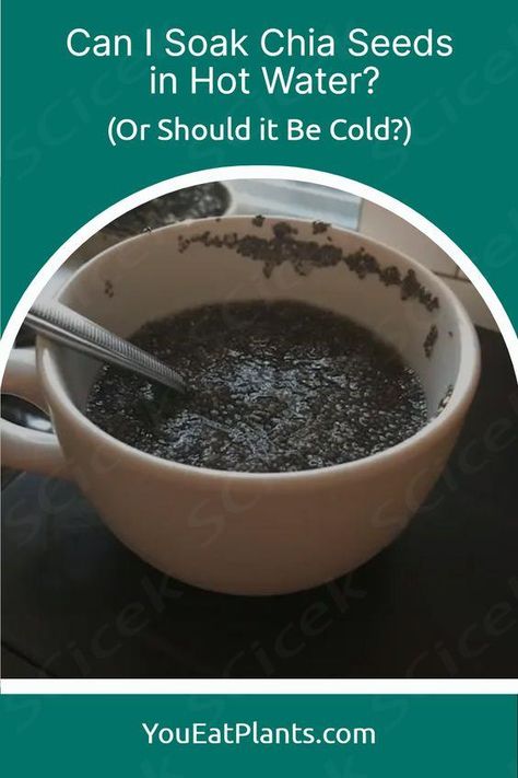 Achieving the optimal texture for your chia seeds can be a challenge, but learning how to soak chia seeds properly can give you the desired texture and flavor you're looking for. So the question is, should you soak the chia seeds in hot water or cold water? To find out the answer to this question and learn more about the nutritional benefits of consuming chia seeds, visit post.
 ... more Chia Seeds In Water, I Lost 100 Pounds, Soak Chia Seeds, Chia Seed Drinks, Healthy Foods To Make, Healthy Food Habits, Chia Seed Recipes, Healthy Food Guide, Healthy Food Menu