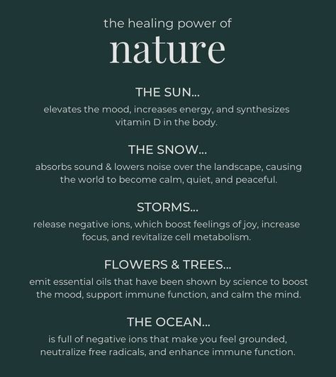 The healing power of nature 🌞🌲🌙 #health #balance #nature #heal #ayurveda #havahholistichealth #holistic Holistic Lifestyle Aesthetic, Holistic Healing Aesthetic, Alternative Medicine Holistic Healing, Nature Benefits, Holistic Center, Blue Journal, Healing Power Of Nature, Nature Healing, Natural Headache Remedies