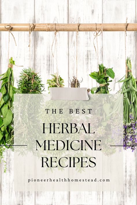 Craft effective natural remedies like elderberry syrup, fire cider, and soothing salves. These herbal medicine recipes are perfect for anyone looking to embrace holistic wellness! Natural Medicine Recipes, Arnica Salve, Medicine Recipes, Natural Medicines, Homemade Elderberry, Holiday Skincare, Remedies For Glowing Skin, Herbal Medicine Recipes, Fire Cider