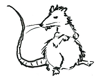 Angry Rat Rat Scary Drawing, Rat Side Profile, Punk Rat Tattoo, Rat Drawing Punk, Rat Terrier Drawing, Rat Doodle, Rat Draw, Rat Sketch, Rat Shirt