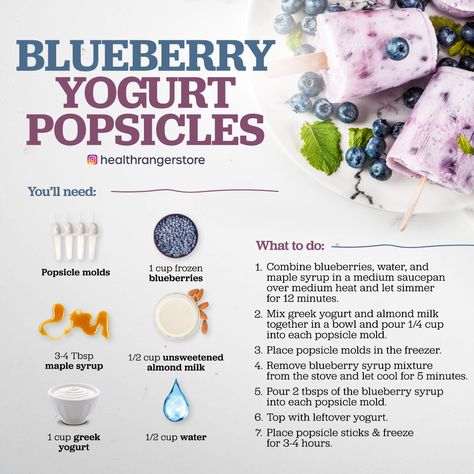 Wfpb Dessert, Blueberry Yogurt Popsicles, Fudgesicle Recipe, Raw Vegan Dessert Recipes, Chia Smoothie, Kids Drink, Blueberry Yogurt, Yogurt Popsicles, Raw Vegan Desserts