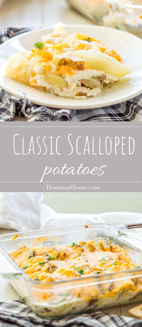 Scalloped Potatoes Oven, Boxed Scalloped Potatoes Recipes, Scalloped Potatoes With Bacon, Scallop Potatoes, Best Scalloped Potatoes, Parmesan Zucchini Fries, Scalloped Potatoes Easy, Scalloped Potatoes Recipe, Easter Feast