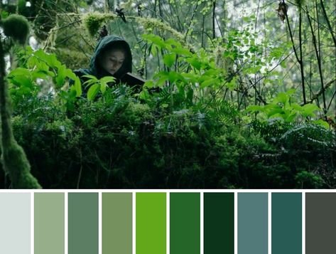 moviefilm cinematography color palette Movie Pallets Color Palettes, Cinematic Colour Palette, Cinematic Pallet, Cinematography Color Palette, Cinematic Palette, Cinema Color Palette, Cinematic Color Palette, Film Color Palette, Cinema Palettes