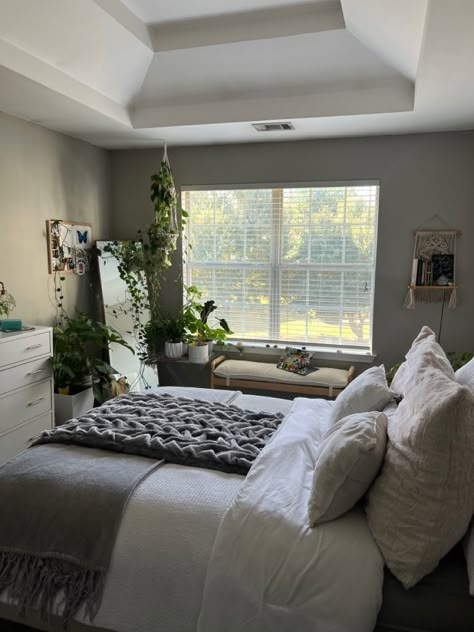 Gray Bedroom With Plants, Grey Bedroom Plants, Clean Plant Bedroom Aesthetic, Clean Room Aesthetic White And Grey, Natural Light Bedroom Aesthetic, Grey And Plant Bedroom, Aesthetic Plant Room Ideas, Clean Room With Plants, White Bedroom With Plants Aesthetic