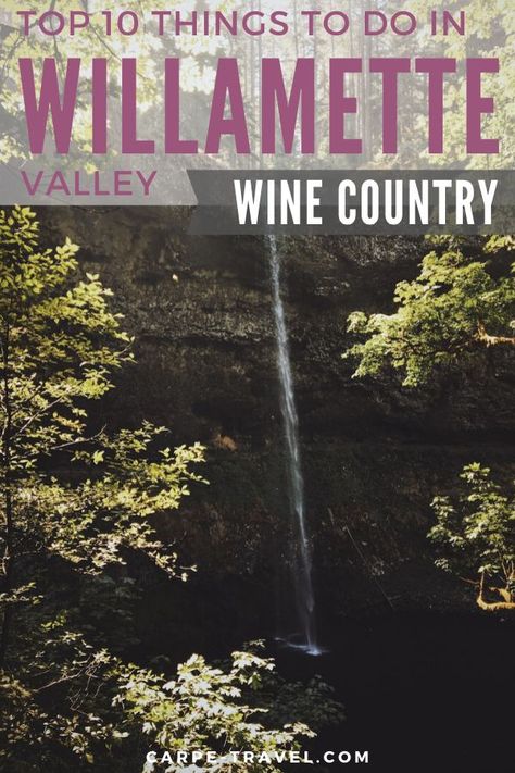 Top 10 Things To Do in Willamette Valley Wine Country.  State parks, trails, lakes, fishing, museums, shopping, the list could go on and on for things to do in Willamette Valley Wine Country beyond visiting the wineries in the are. Check out our list to see my top 10 suggestions. You'll love it! #familytravel #winetravel #traveltips #traveladventures #WillametteValley Beyond The Vines, Wine Country Travel, Perfect Road Trip, Wine Trail, Willamette Valley, Lake Fishing, Wine Travel, Travel Activities, Wine Region