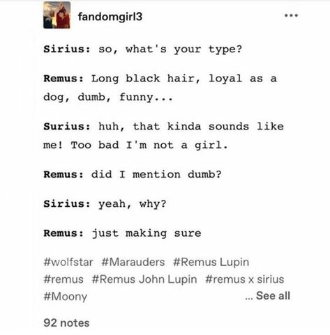 Marauders Funny, Marauders Harry Potter, Wolf Star, Orion Black, Barty Crouch, Harry Hermione, Harry Potter Memes Hilarious, Gay Harry Potter, Harry Potter Puns