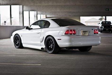 blwnbyu | BLWNBYU | Flickr Mustang 1995, Sn95 Mustang, New Edge Mustang, 2003 Ford Mustang, Ford Svt, Ford Mustang Cobra, Mustang Cobra, Custom Muscle Cars, Mustang Cars