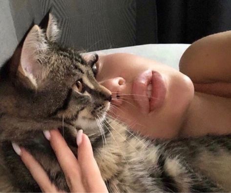 Image discovered by 𝐀. Find images and videos about aesthetic, cat and lips on We Heart It - the app to get lost in what you love. Cat Aesthetic, Pretty Cats, Cat Mom, Dream Life, Fur Babies, Aesthetic Pictures, Cute Cats, Feline, Black Cat