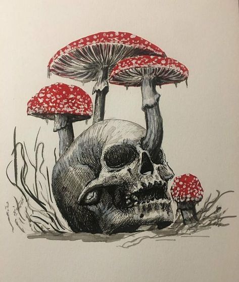 Mr Skull, Art Sketches Doodles, Skull Artwork, Dark Art Drawings, Beautiful Dark Art, Mushroom Art, Digital Art Girl, Skull Art, A Drawing