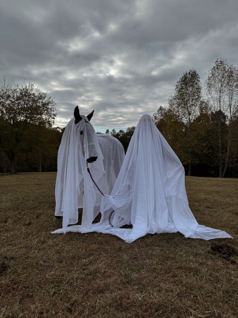 Horse and human in ghost costume White Horse Halloween Costumes, Ghosts Halloween Costume, Halloween Photoshoot With Horse, Pony Photo, Horse Ghost Costume, Spooky Horse Photoshoot, Horse Halloween, Horse And Rider Halloween Costumes, Halloween Horse Costumes