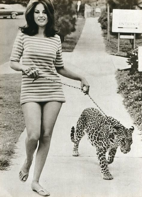 Lana Wood, James Bond Girls, Pin Up Vintage, Natalie Wood, Bond Girls, Cat People, 1960s Fashion, Vintage Pinup, 60s Fashion