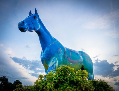 Blue Pegasus, Shawnee Oklahoma, The Trail Of Painted Ponies, Blue Moon Of Kentucky, David Phelps, Crazy Horse Monument, Akhal Teke Horses Silver, Painted Horses, Public Park