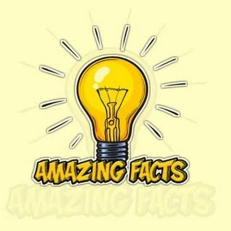 Facts Only - YouTube Fact Channel Banner, Channel Banner, Youtube Facts, Wallpaper Crafts, Bengali Art, Youtube Banner Backgrounds, Youtube Banner, Taehyung Funny, Youtube Banners