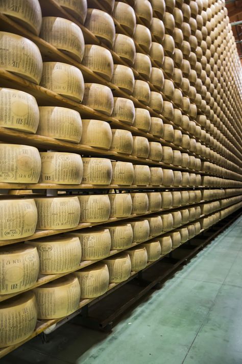 Pantry Cellar, Cheese Cave, Shopping Mall Design, Italy Culture, Cheese Factory, Regional Food, Queso Cheese, Cheese Dishes, Artisan Cheese