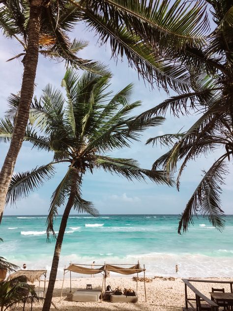 Tulum Beach: A Complete Guide [2024] Tulum Beach Club, Akumal Beach, Tulum Ruins, Tulum Beach, Beach Bedding, Water Sports Activities, Tropical Resort, I Love The Beach, Secret Beach