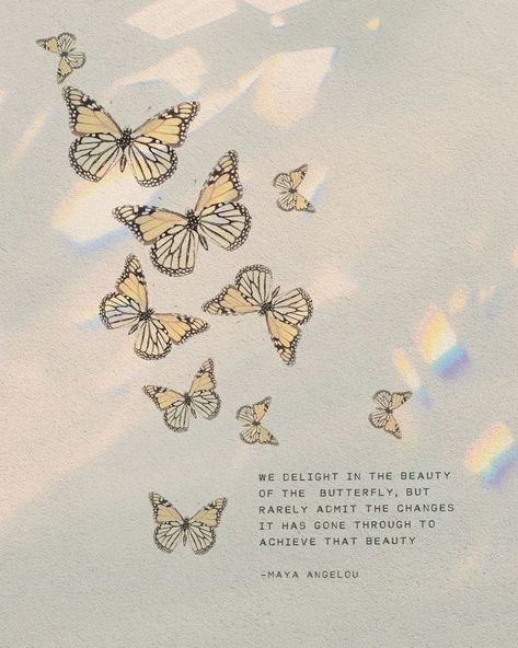 Maya Angelou Butterfly Quote, We Delight In The Beauty Of A Butterfly, Butterfly Growth Quotes, Butterfly Quotes Aesthetic, Maya Angelou Tattoo, Butterfly Effect Quotes, Butterfly New Beginnings, Butterfly Aesthetic Quotes, Social Butterfly Quotes