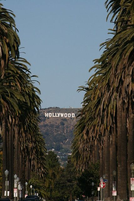 Hollywood Sign, City Of Angels, California Dreamin', California Dreaming, Hollywood California, City Aesthetic, California Usa, Places Around The World, Travel Aesthetic