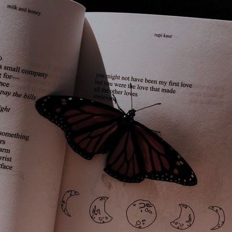 A Butterfly, The Words, The Moon, Moon, Stars