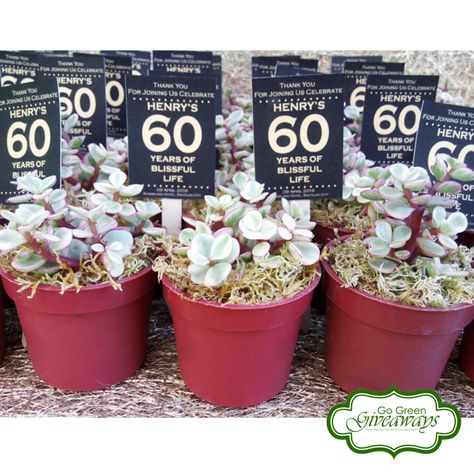 Succulents Giveaways for Henry's 60th Birthday - Bacolod Philippines Bacolod Philippines, Birthday Return Gifts, Birthday Giveaways, Party Giveaways, Bacolod, Return Gifts, 60th Birthday Party, Birthday Decor, Birthday Favors