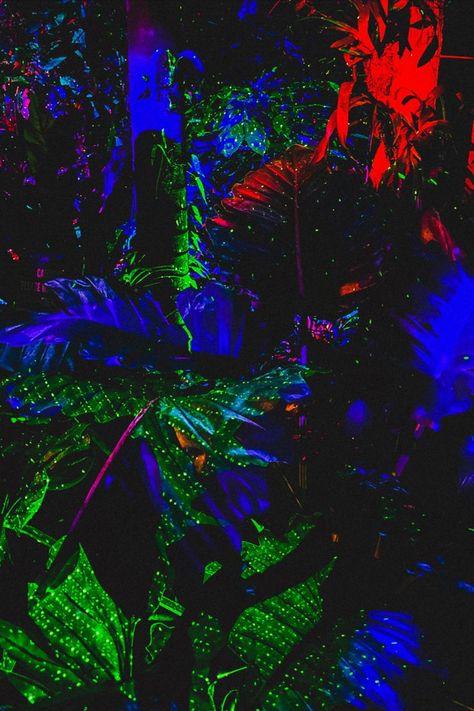 Party in the neon jungle tropicore mystic jungle jungle party theme neon aesthetic Jungle Party Aesthetic, Jungle Music Aesthetic, Alien Stimboard, Neon Jungle Aesthetic, Dark Jungle Aesthetic, Jungle At Night, Monty Gator, Neon Garden, Jungle Aesthetic