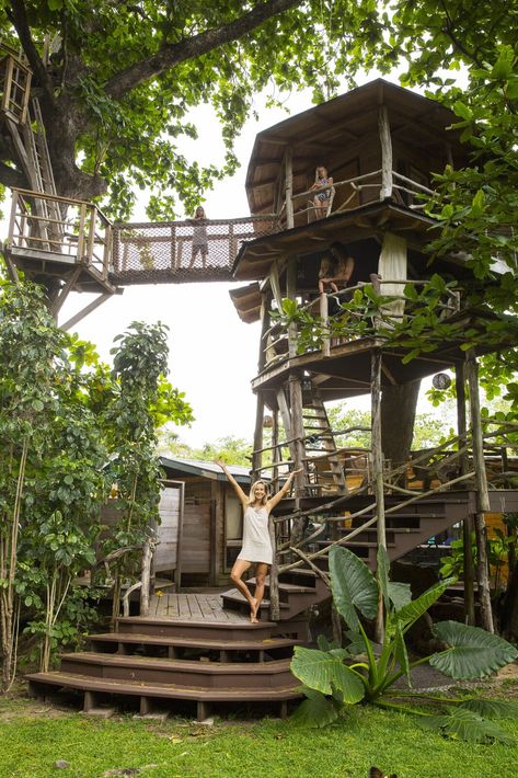 These Legendary Surfers’ Converted School Bus Connects to a Three-Story Tree House on Hawaii - Dwell Surf Shacks, Hanalei Kauai, Converted School Bus, Swiss Family Robinson, Hawaiian Homes, Cool Tree Houses, Hawaii Homes, Surf Shack, Backyard Paradise