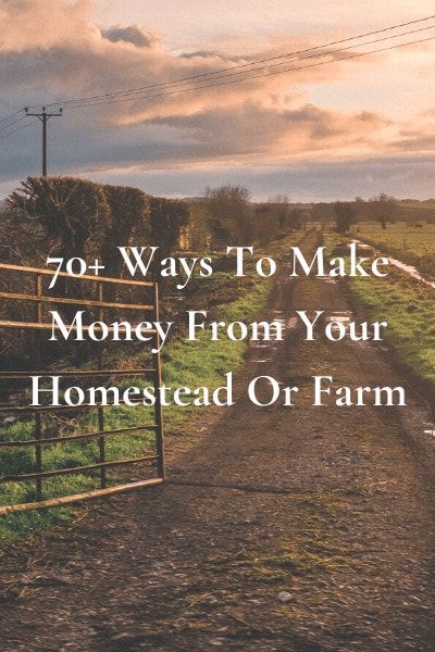 70+ Ways To Make Money From Your Homestead Or Farm Starting A Farm, Small Backyard Design Layout, Backyard Design Layout, Farm Plans, Homestead Farm, Farm Layout, Farm Business, Farm Lifestyle, Future Farms