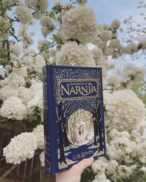 #books #bookstagram #bookcommunity #bibliophile #bookblog #booklover #bookaddiction #booknerd #bookhaul #bookgram #instabooks #igreads #bookstack #bookofthemonth Soft Academia Aesthetic, Chronicles Of Narnia Books, Narnia 3, Bucket List Book, Graphisme Design, The Chronicles Of Narnia, Fairy Tale Books, Vintage Book Covers, Chronicles Of Narnia