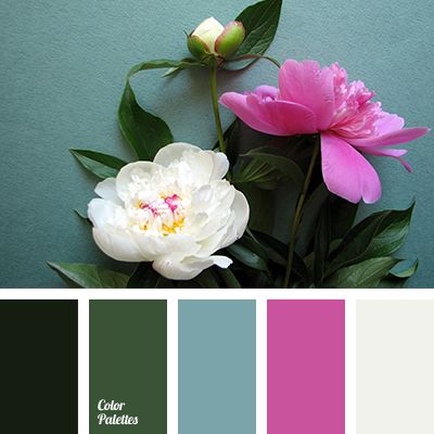 fuchsia | Color Palette Ideas Blog Color Palette, Design Seeds Color Palette, In Color Balance, Color Palette Ideas, Wall Living Room, Palette Ideas, Aquamarine Colour, House Color Schemes, Color Palette Pink