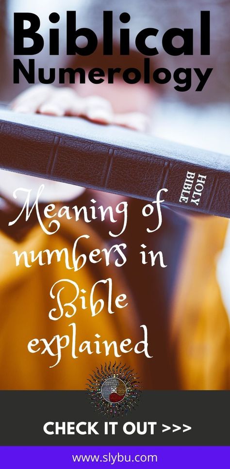 A lot of people, even in today’s world practice and interested in it since numerology claims to tell about one’s personality traits and predict their future accurately. But what is the connection of numerology with the bible? Is numerology biblical? Christians believe the numbers in the Bible have certain significances in our lives. This is the reason, Christians are being more and more inclined to biblical numerology to speculate their own lives. #numerology #bible #biblical #numerologybible Meaning Numbers, Biblical Numerology, Biblical Numbers, Meaning Of Numbers, Numerology Birth Date, Bible Meaning, Numerology Horoscope, Numerology Compatibility, Adventurous Life