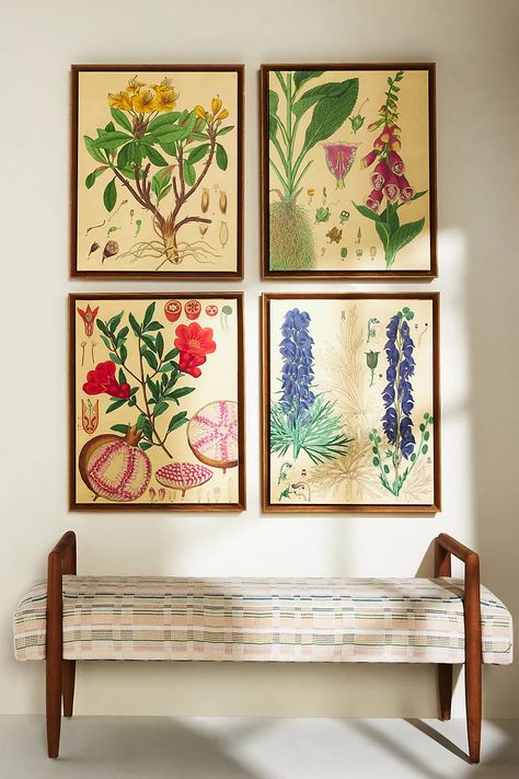 Super Tales Wall Art | Anthropologie Living Room With Brown Sofa, Botanical Room Decor, Colourful Cottage, Oasis House, Anthro Home, Botanical Room, Three Wall Art, Thrift With Me, Garden Lodge