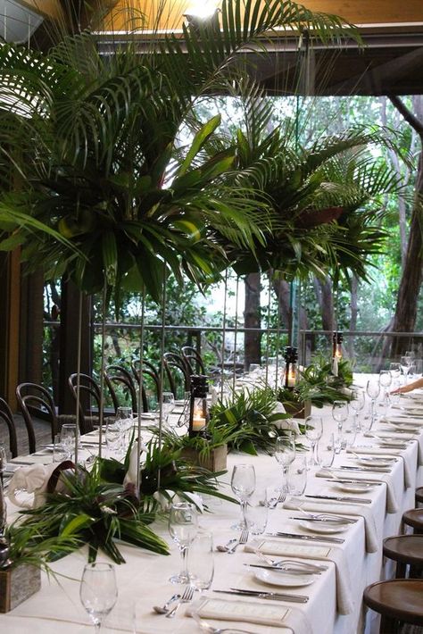 wedding at the melbourne zoo rainforrest room. absolutely amazing! Tropisk Fest, Wedding Reception Rooms, Melbourne Zoo, Jungle Wedding, White Linens, Zoo Wedding, Tropical Theme, Long Table, Botanical Wedding